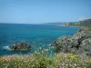 Paisajes del litoral corso - Flores silvestres, rocas, mar y litoral mediterráneo en la distancia (al norte de la punta de la Parata)