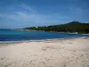 Paisajes del litoral corso - Costa de las Perlas: Favone cala con una playa de arena, el Mar Mediterráneo y la costa cubierta de bosque