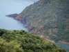 Paisajes del litoral corso - Los árboles, los acantilados y el mar Mediterráneo