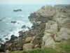 Paisajes del litoral de Loira Atlántico - La hierba, las rocas y el mar (Océano Atlántico)