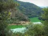 Paisajes de Loira - Gargantas del Loira: río Loira, en árboles de ribera y monte arbolado