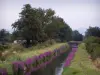 Paisajes de Loira - Río llena de flores, árboles y puentes pequeños