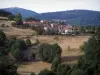 Paisajes de Loira - Pilat (Parque Natural Regional del Pilat): casas, pastos, árboles, alrededor de la Botte Cret de transmisor de TV y en el fondo Crêt Oeillon