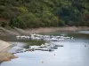 Paisajes de Loira - Río Loira, el puerto deportivo del banco, y los árboles