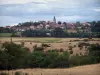 Paisajes de Loira - Pueblo rodeado de bosques y pastos