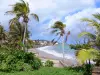 Paisajes de Martinica - Con vistas al puerto de Santa María y el Océano Atlántico, con árboles de coco en el primer plano