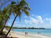 Paisajes de Martinica - Playa de Grande Anse des Salines con su cocoteros, arena fina y mar turquesa; en el municipio de Sainte-Anne