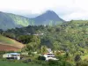 Paisajes de Martinica - Casas en una verde, al pie de los Picos Carbet