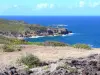 Paisajes de Martinica - Reserva Natural Península Caravelle - Parque Regional de Martinica: paseo a lo largo de la ruta costera
