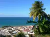 Paisajes de Martinica - Ver sobre los tejados de Grand'Rivière y el Océano Atlántico desde las alturas de la aldea con coco y banano en el primer plano