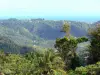 Paisajes de Martinica - Colinas verdes