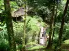 Paisajes de Martinica - Parque Regional de Martinica: puerta de entrada al corazón de la selva tropical que lleva a la cascada de Saut-Gendarme