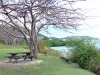 Paisajes de Martinica - Mesa de picnic al pie de un árbol con vistas a la Cul-de-Sac Marin