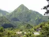 Paisajes de Martinica - Parque Regional de Martinica: casas en una zona verde, al pie de los picos del Carbet