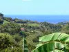 Paisajes de Martinica - Pequeña colina con vista al Mar Caribe