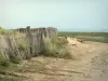 Paisajes de Normandía - Playa de callejón que conduce a la bahía del Mont Saint-Michel