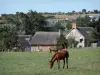 Paisajes de Normandía - Los caballos en un prado, árboles y casas