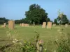 Paisajes de Sarthe - Pre cercado con balas de heno