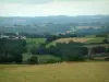 Paisajes de Tarn - Pastos, árboles, campos y bosques