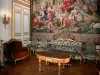Palace of Fontainebleau - Interior of  the Palace of Fontainebleau: Pope's apartment (or Queen Mothers apartment)