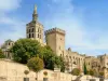 Le palais des papes - Guide tourisme, vacances & week-end dans le Vaucluse