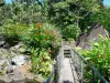 Parc archéologique des roches gravées - Passerelle, chaos de roches volcaniques et végétation tropicale du parc