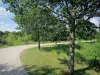 Parc départemental de la Haute-Île - Allée de promenade bordée d'arbres