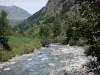 Le Parc National des Pyrénées - Parc National des Pyrénées: Gave bordé de rochers et d'arbres, montagnes dominant l'ensemble