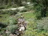 Le Parc National des Pyrénées - Parc National des Pyrénées: Ruisseau bordé de végétation et de fleurs sauvages