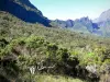 Parc National de La Réunion - Virgen Mafate