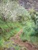 Parc National de La Réunion - Mafate: camino que conduce a Marla