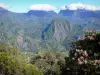 Parc National de La Réunion - Panorama en Salazie desde el mirador Bélouve