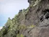 Parc National de La Réunion - Cilaos pared de roca y vegetación