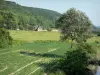 Parc Naturel Régional des Boucles de la Seine Normande - Maisons entourées de prés et d'arbres