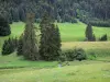 Parc Naturel Régional du Haut-Jura - Alpages (prairies) et sapins (arbres)