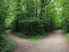 Parque forestal de la Poudrerie - Caminos por el bosque