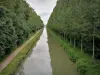 Parque forestal de la Poudrerie - Canal de l'Ourcq bordeado de árboles