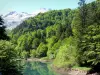 Parque Nacional de los Pirineos - Valle de Aspe: Anglus del lago, el bosque y la montaña de los Pirineos