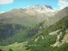 Parque Nacional de los Pirineos - Paisaje montañoso y exuberante de los Pirineos