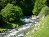 Parque Nacional de los Pirineos - Dio Brousset y árboles a lo largo del agua