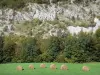 Parque Natural Regional del Alto Jura - Cordillera de Jura: pacas de heno en un prado, árboles y montañas