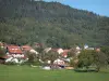 Parque Natural Regional del Alto Jura - Cordillera de Jura: una visión de la aldea de Montanges, con su campanario de la iglesia y las casas dominadas por la selva