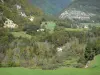 Parque Natural Regional del Alto Jura - Cordillera de Jura: praderas rodeadas de árboles