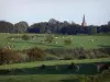 Parque Natural Regional de Avesnois - Pastagens, rebanho de vacas, árvores e campanário da igreja