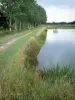 Parque Natural Regional de Brenne - Camino, un estanque y los árboles