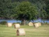 Parque Natural Regional de Brenne - Paja en el campo y el árbol junto a un estanque