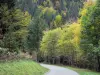 Parque Natural Regional de Chartreuse - Maciço de la Chartreuse: estrada ladeada de árvores