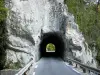 Parque Natural Regional de Chartreuse - Chartreuse: Túnel de la Muerte Guiers Gorge