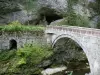 Parque Natural Regional de Chartreuse - Chartreuse: Muerte Guiers Gorge Porte de l'Enclos, puente sobre el río