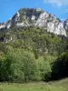Parque Natural Regional de Chartreuse - Chartreuse: paredes de piedra, bosques, árboles y prados